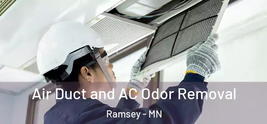 Air Duct and AC Odor Removal Ramsey - MN