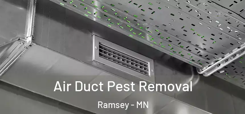 Air Duct Pest Removal Ramsey - MN