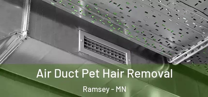 Air Duct Pet Hair Removal Ramsey - MN