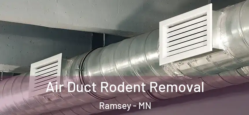  Air Duct Rodent Removal Ramsey - MN