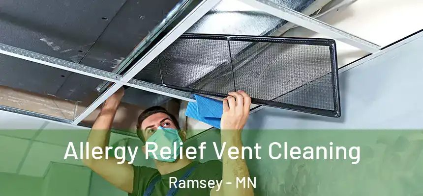 Allergy Relief Vent Cleaning Ramsey - MN