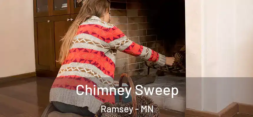 Chimney Sweep Ramsey - MN