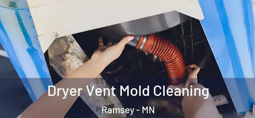 Dryer Vent Mold Cleaning Ramsey - MN