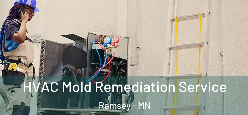 HVAC Mold Remediation Service Ramsey - MN