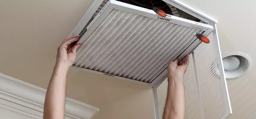 Preventive Cockroach-Proofing for Ducts in Ramsey