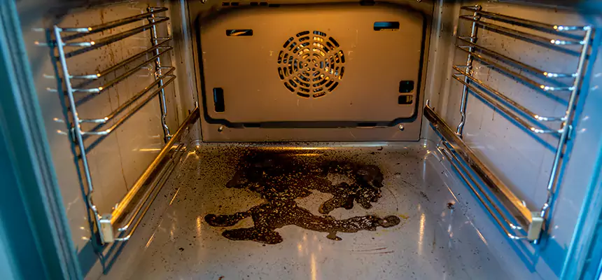 Our Air Purifier Installation Services in Ramsey, MN