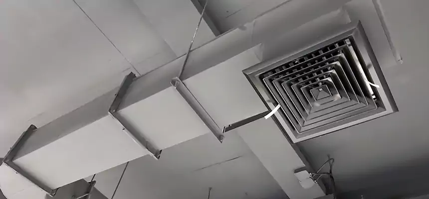 Our Pest Removal From Ducts Services in Ramsey, MN