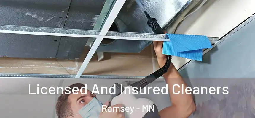 Licensed And Insured Cleaners Ramsey - MN