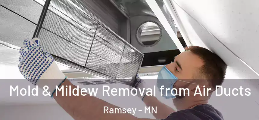 Mold & Mildew Removal from Air Ducts Ramsey - MN