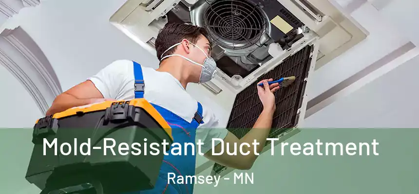 Mold-Resistant Duct Treatment Ramsey - MN