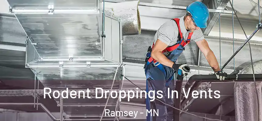 Rodent Droppings In Vents Ramsey - MN