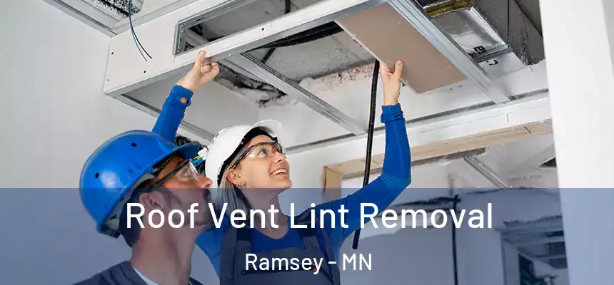 Roof Vent Lint Removal Ramsey - MN