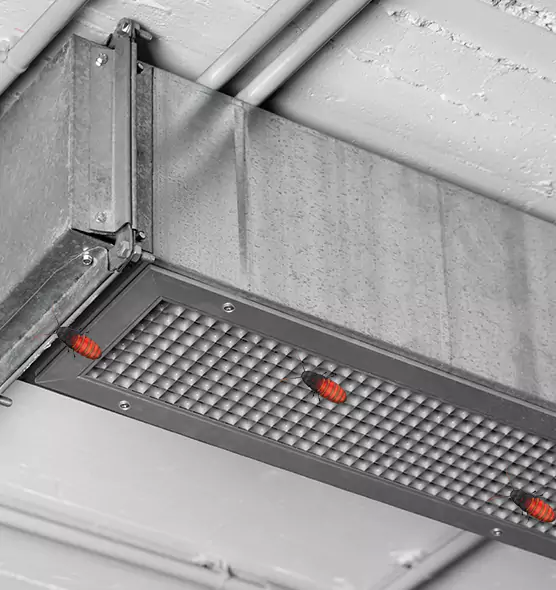 About Air Duct Cockroach Removal in Ramsey, MN