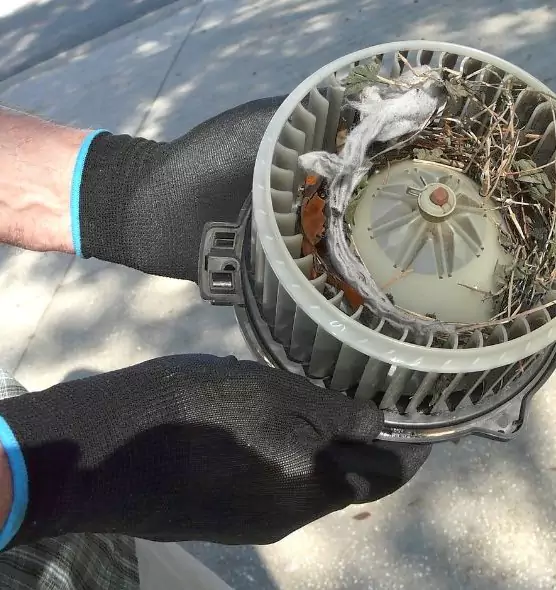 About Air Duct Rat Removal in Ramsey, MN