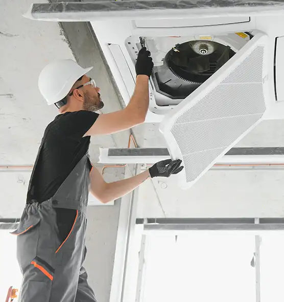 About Air Duct Rodent Removal in Ramsey, MN