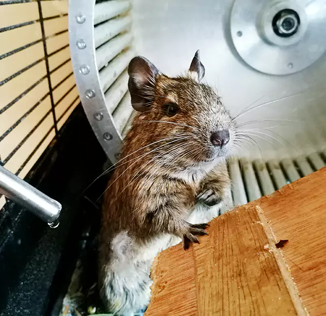 Why Homeowners & Businesses Trust Us Ramsey, MN