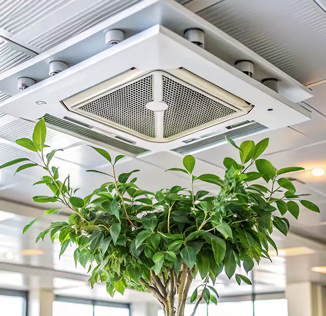 Why Homeowners & Businesses Trust Us in Ramsey, MN?