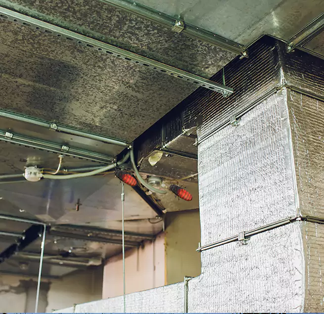 Why Homeowners & Businesses Trust Us Ramsey, MN?